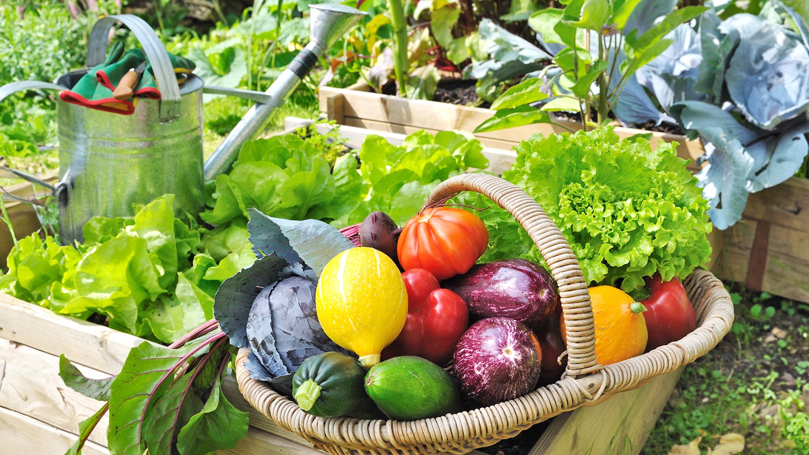 Homegrown Produce